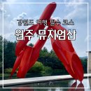 패랭이공원 | 원주 여행 필수 코스, 자연과 예술 공간 &#39;뮤지엄산&#39;