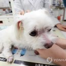 내장축산 이미지