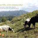 범산목장 티스토리