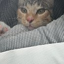 서진동물병원 이미지
