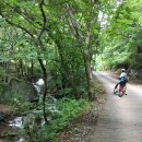 금계령주유소 | 아산 광덕산-봉수산 임도 라이딩. 깊은 숲길의 아늑함을 찾아서