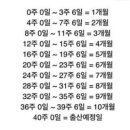 한빛중기 이미지