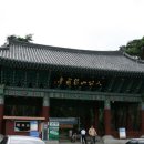 사랑의묘약 | ● 은해사 (銀海寺) ●