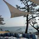 더 비치하우스 이미지