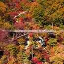 가을 타는 것 같아"... 가을에 가면 더 좋은 서울 근교 가을 여행지 BEST6 이미지