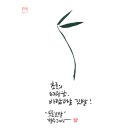 선기로2-8 이미지
