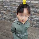 뽀끼타운 이미지