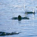 물수제비 이미지