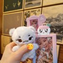 그루밍 호찌 이미지