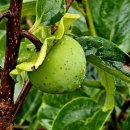 연제구-160 이미지