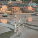 무창포어촌체험휴양마을 이미지