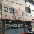 고모리보리밥 이미지