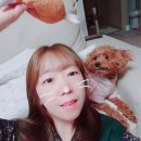 그루밍펫살롱 | 배곧 애견미용 그루밍펫살롱 만족스러워요!