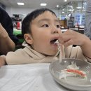 로드스타 | 영덕 축산항대게궁 1마리 7만원 정식, 아이와 가기좋은 친절한 맛집 리뷰