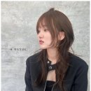 아르결 이미지