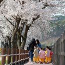 은석초교 이미지