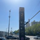 힐스프링 | 봄날의 낭만, 워커힐 '스프링 와인 페어 2026' 오픈런 후기!