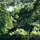 원주자연 | 강원도 원주 자연 속 힐링 캠핑, &#39;캄파슬로우&#39; 솔직 후기 🌿