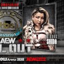 AEW ALL OUT 2024 최종 대진표 이미지