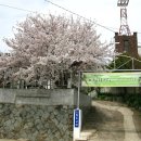 벌교원동 이미지