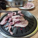 문장로 | 구미 뒷고기 최강 맛집 원호참숯불구이 후기!!