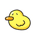 라엘음악학원 이미지