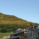 속리산파크호텔 | 충북 보은 여행, 자연에서 힐링하고 온 나인밸리파크 (내돈내산, 핀란드 사우나 후기까지)