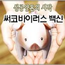 대성팜텍 | 주춤하던 써코바이러스 다시 ‘고개’…방심한 순간 생산성 ‘뚝’