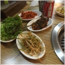 한라산도새기 이미지