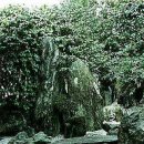 고산정원 이미지