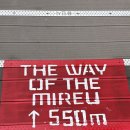 용인미르스타디움 | 용인FC 홈 개막전 첫 경기 직관 후기!! (+용인미르스타디움)