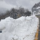 속초 설악산 눈이 엄청 왔네요 이미지