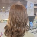 216 | 아산미용실 찰스리헤어테크 아산터미널점, SNS에서 보고 반한 3가지 매력!