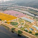 무궁화소프트.com 이미지