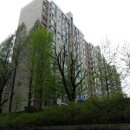 강남-203 이미지