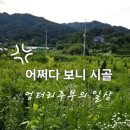 착한고깃간부영 이미지