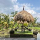 밤부(BAMBOO) | [발리 우붓] 밤부키친 Bamboo Kitchenㅣ카르사스파근처 맛집 뷰맛집