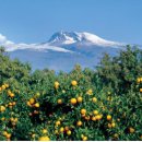 하례2리 이미지