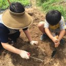 유안농장 이미지