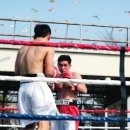 복싱마스터 이미지