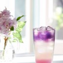 샌드블라썸 이미지