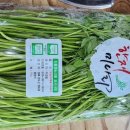 청정미나리영농조합 이미지