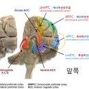 룰루스 이미지