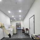 개미애견미용실 이미지