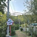 유이농장 | 역대급 규모의 인천애견운동장, 인천야외애견카페 - 다남숲멍빌리지