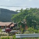 인월농장 이미지