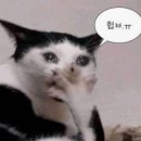 서부해안로 | [제주도] 제주도 서부/남부 여행_02,03