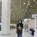 도트엘