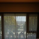 솔스테이 풀빌라&료칸 | 부산 애견동반 풀빌라 솔스테이 풀빌라&amp;료칸 가성비 후기 송정바닷가 료칸까지 한번에