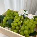 파주청과(과일) 이미지